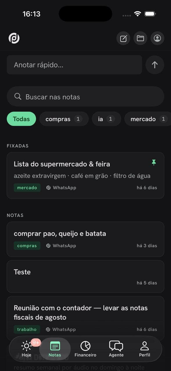 Tela Notas da ProOps Pessoal